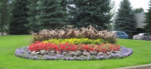 Commercial Annuals Landscape Design Minneapolis